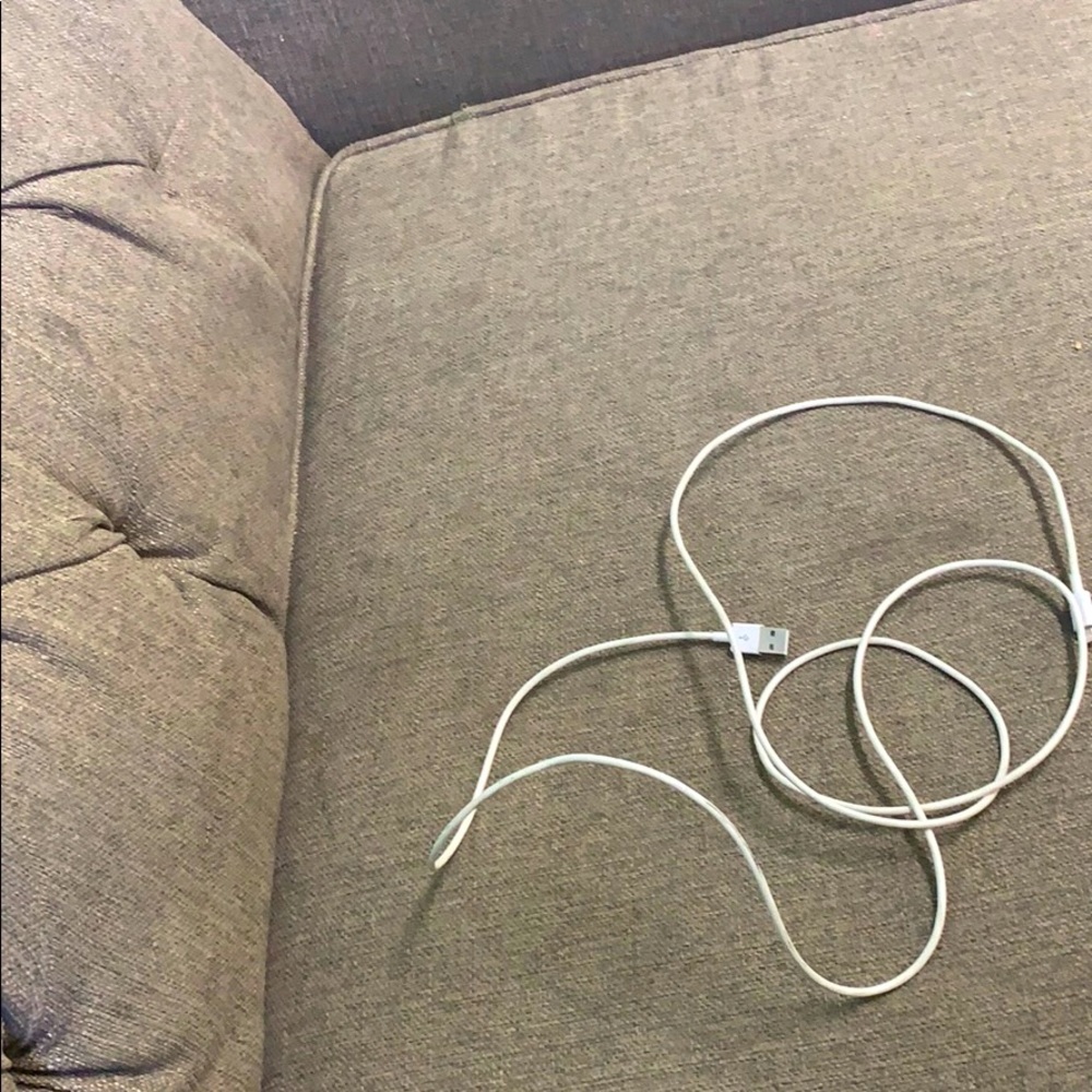 iPhone charger